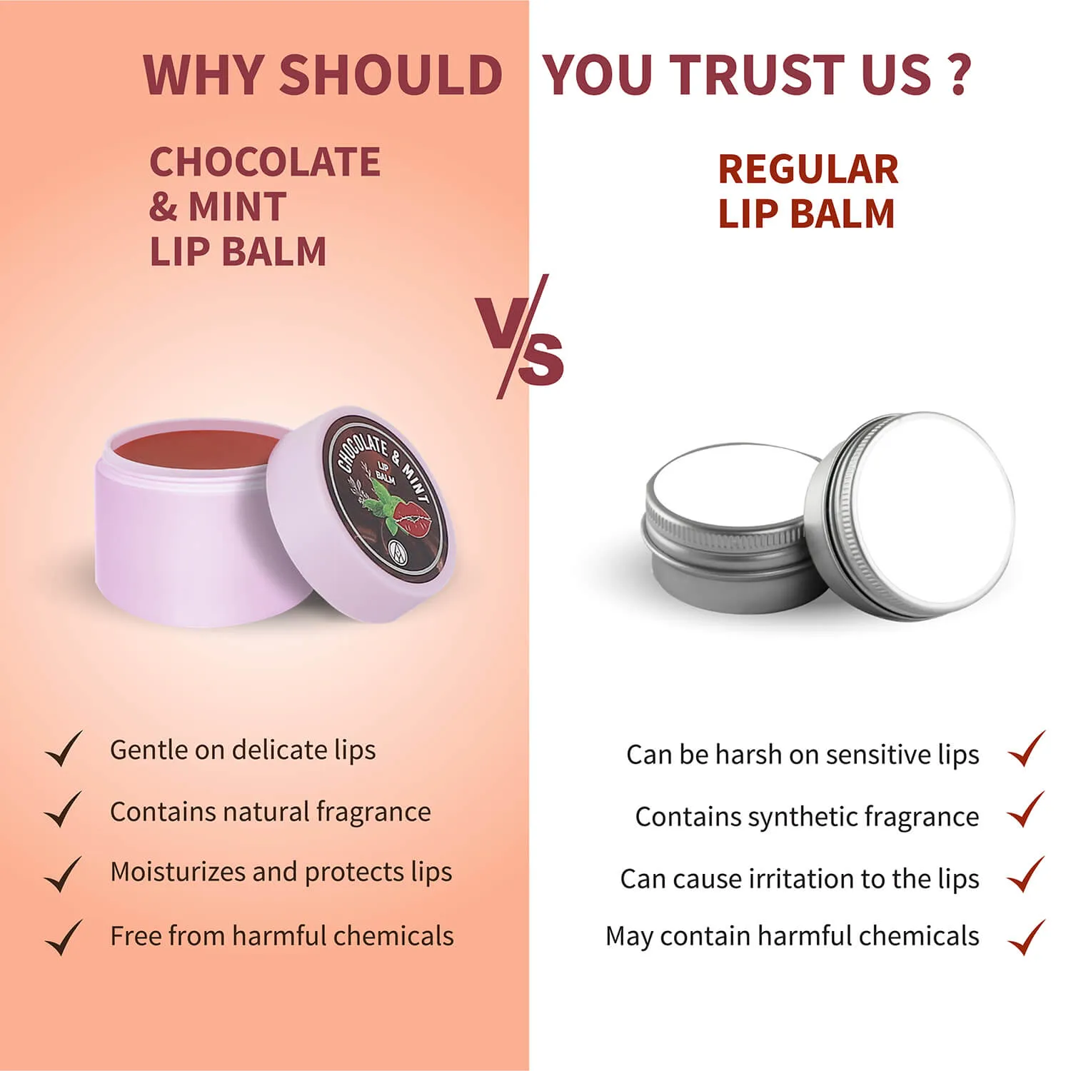 Chocolate & Mint Lip Balm ( Net Qty - 10g )