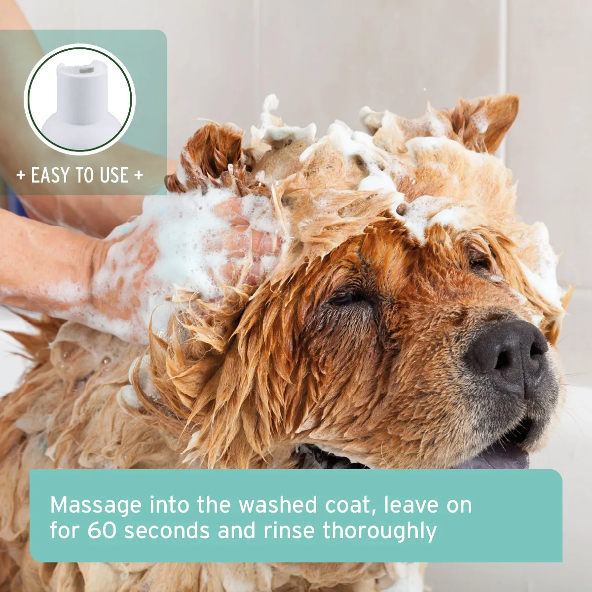 Fur Harmony Coconut Shampoo for Dogs - 200ml