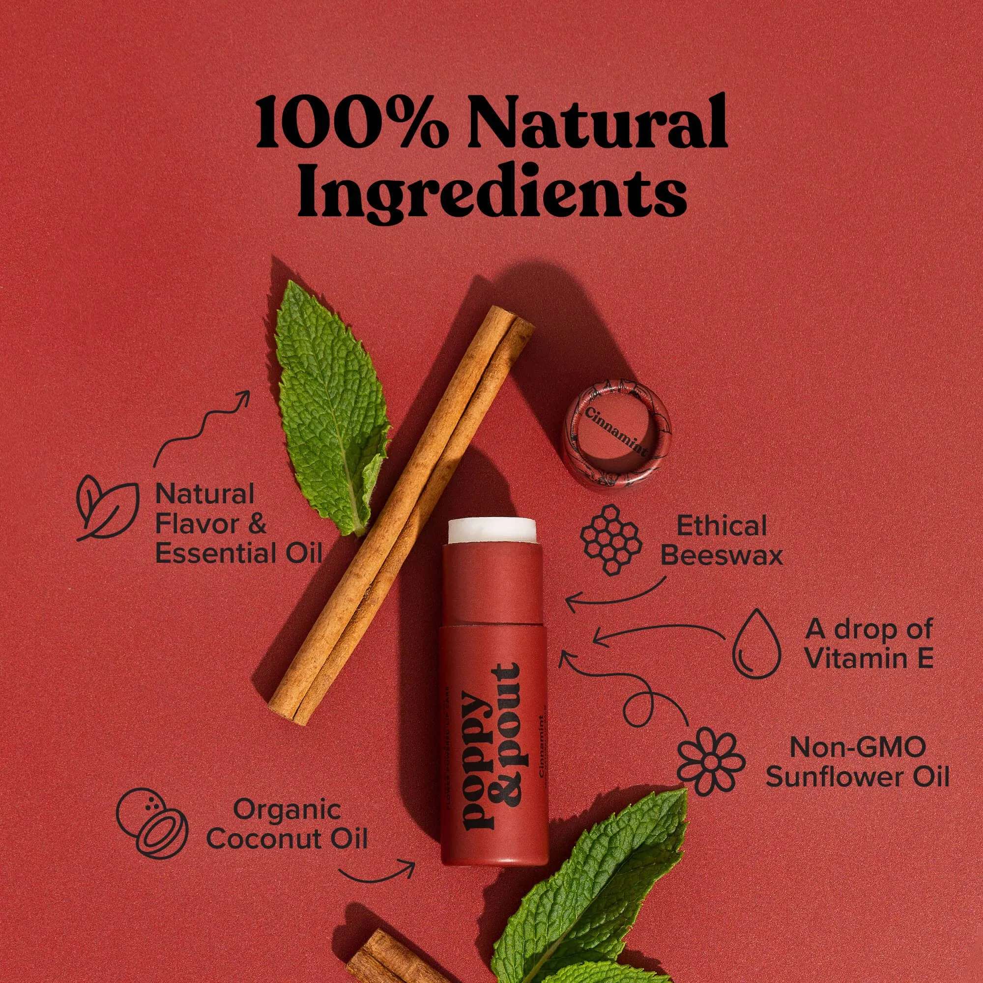 Poppy & Pout Lip Balm | Cinnamint